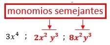 Monomios con la misma parte literal