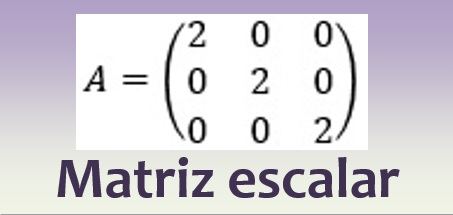 Matriz escalar