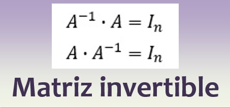 Matriz invertible
