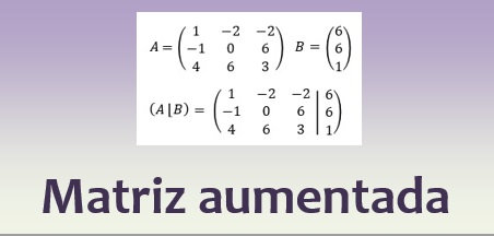 Matriz aumentada