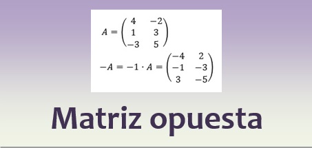 Matriz opuesta
