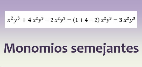Monomios semejantes