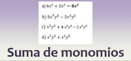 Suma de monomios